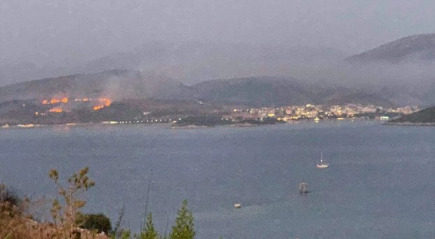 Zjarr i madh në Ksamil, digjen pemë dhe shkurre