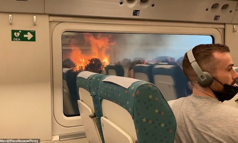Treni rrethohet nga flakët, pamje të frikshme zjarri nga Spanja
