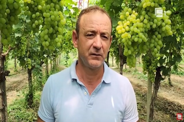 Lë Italinë për vendlindjen, fermeri nga Libofsha e Fierit investon në vreshtari