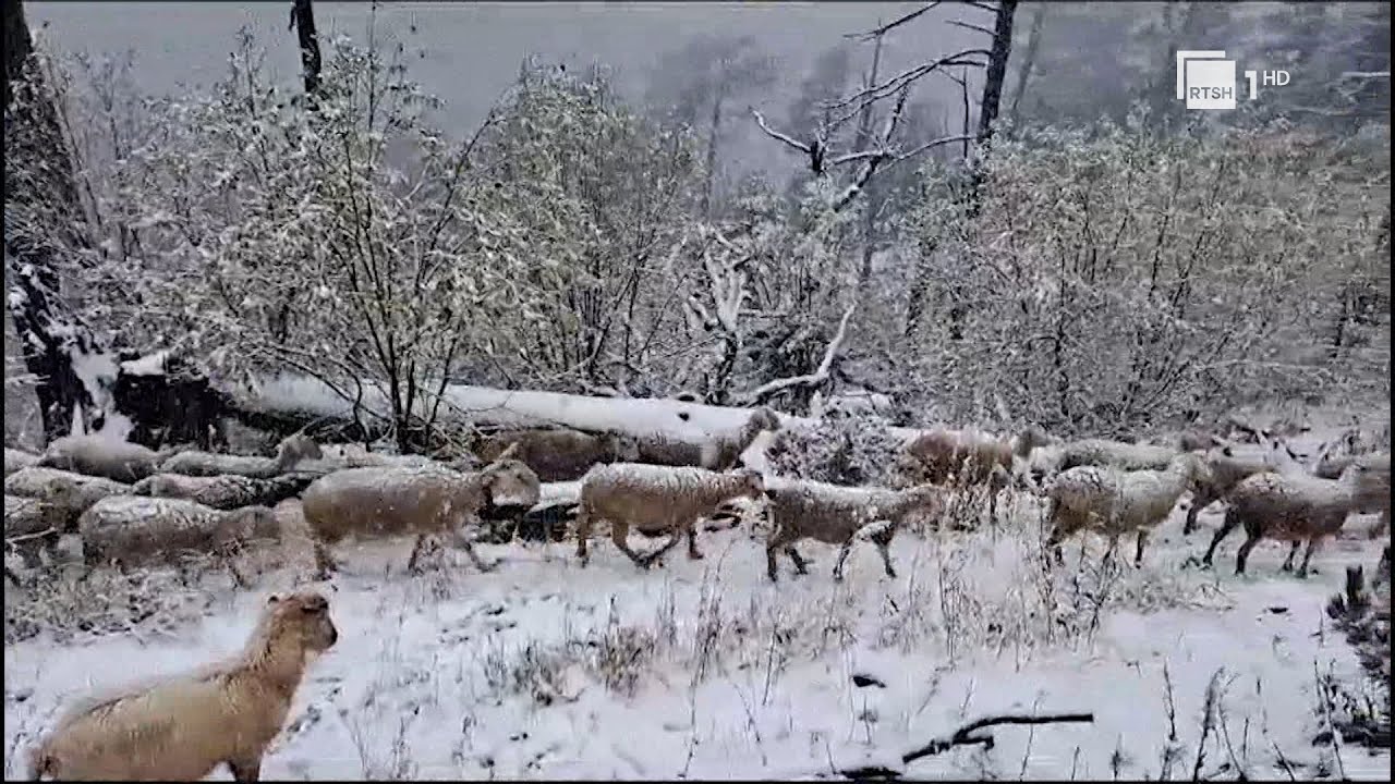 Nis bora në Kukës, zbardhet mali i Gjalicës